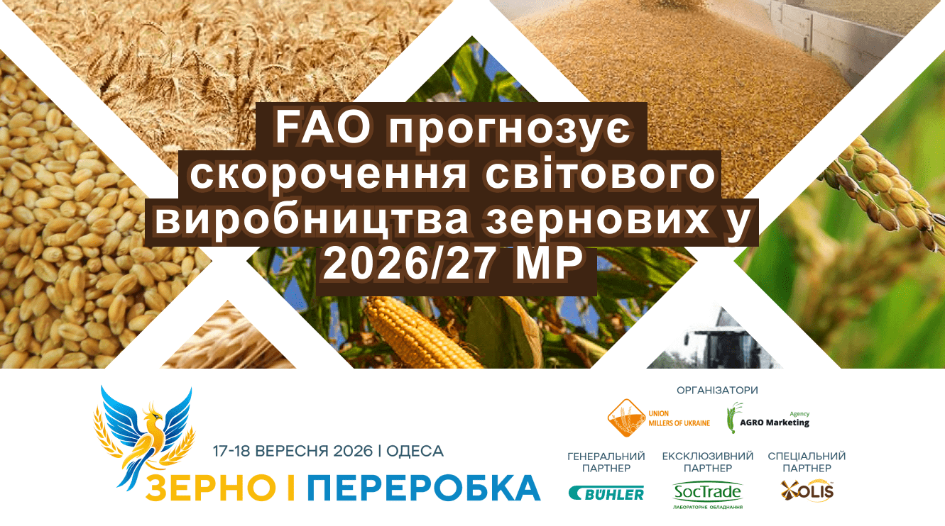 FAO прогнозує скорочення світового виробництва зернових у 2026/27 МР, але дефіциту на ринку не очікується