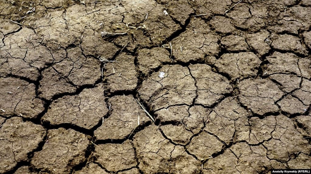 В Україні сформувалися найгірші за 10 років умови для сівби озимих