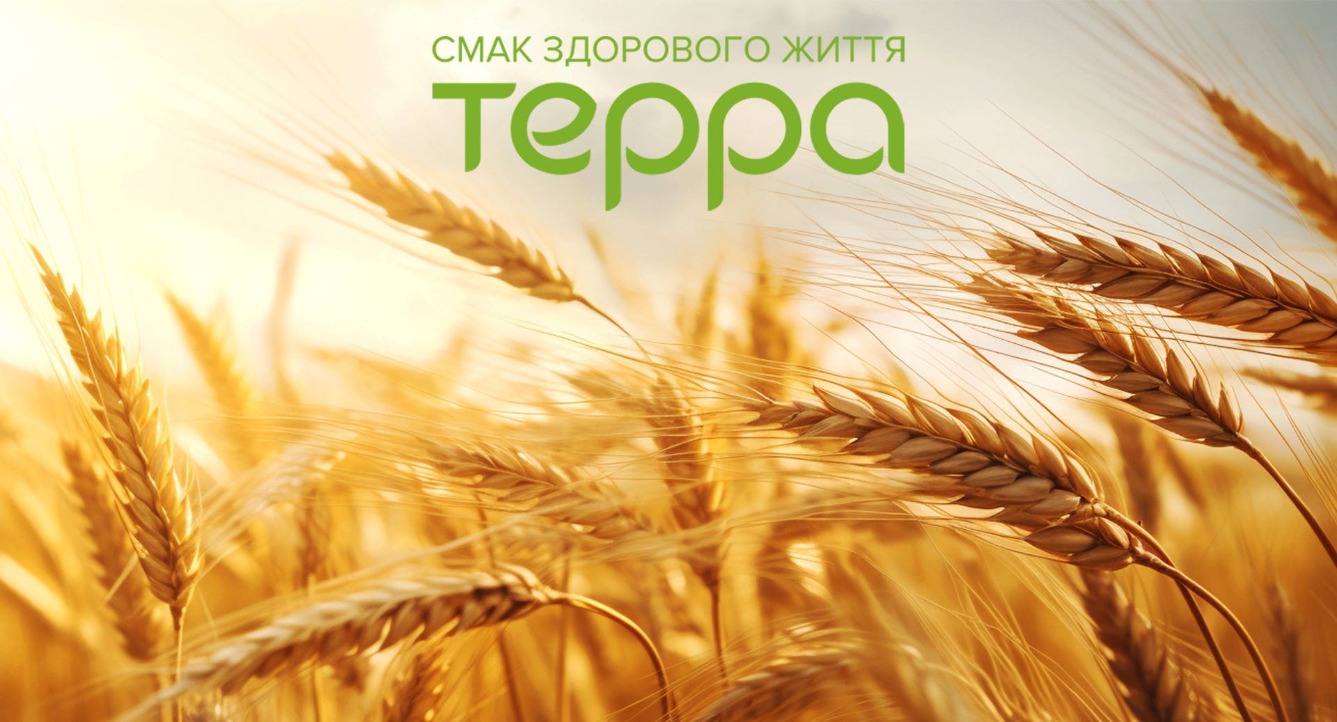 До Спілки «Борошномелів України» приєдналася компанія «Терра»